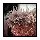 snakelock anemone rockpool creature